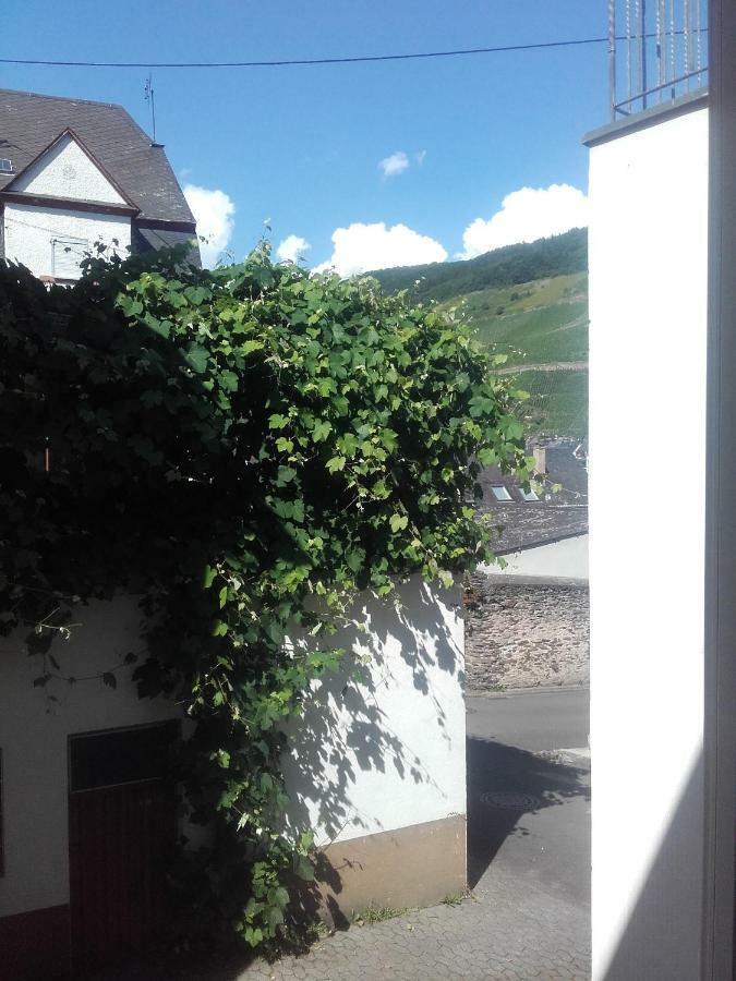 Ferienwohnung-Hallebach Цел ан дер Мозел Екстериор снимка