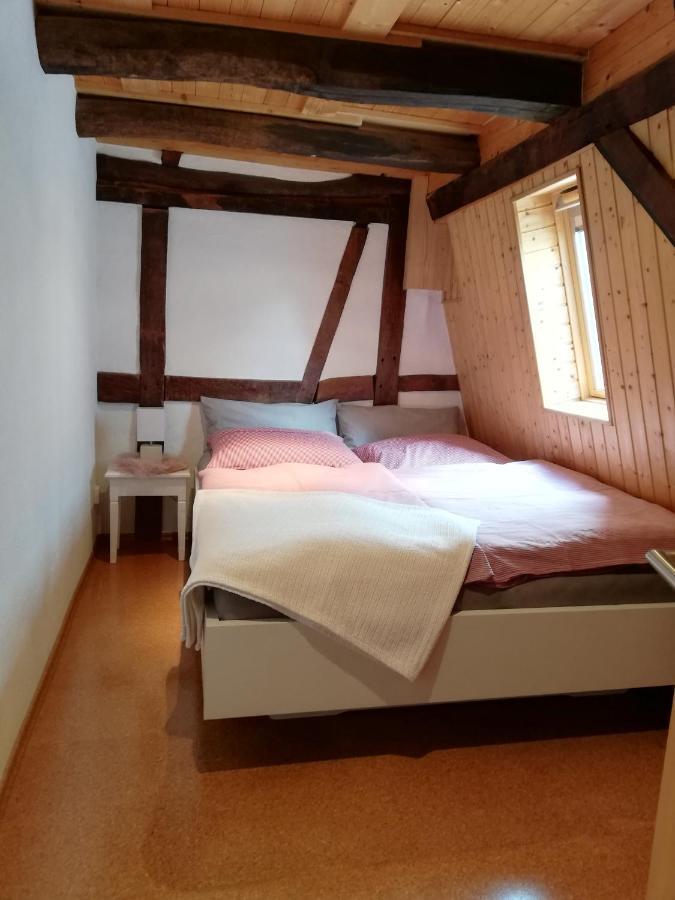 Ferienwohnung-Hallebach Цел ан дер Мозел Екстериор снимка